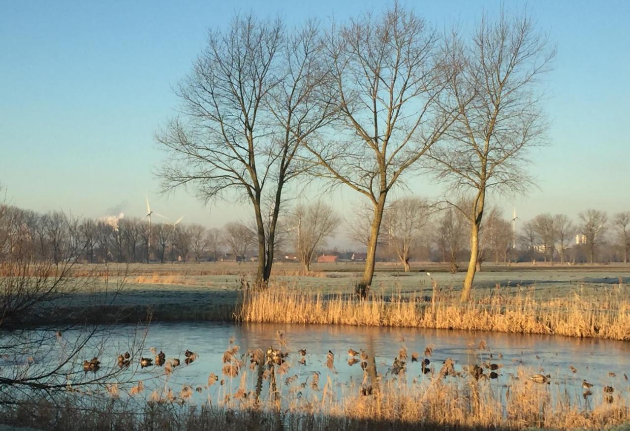 Logies De Meerkoet Брюгге Екстер'єр фото